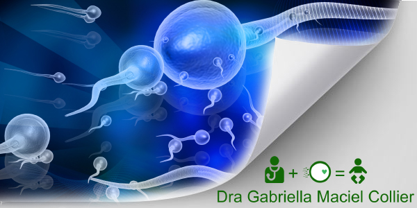 Tudo Sobre Reserva Ovariana com a Especialista Dra. Gabriella Maciel Collier - Ginecologista em Recife